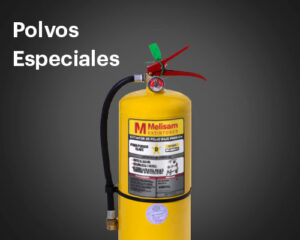 Polvos Especiales